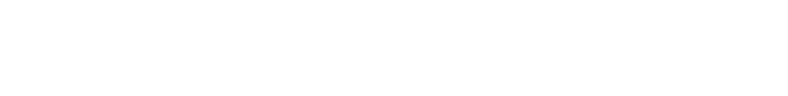 logo 2.1 bianco (1)
